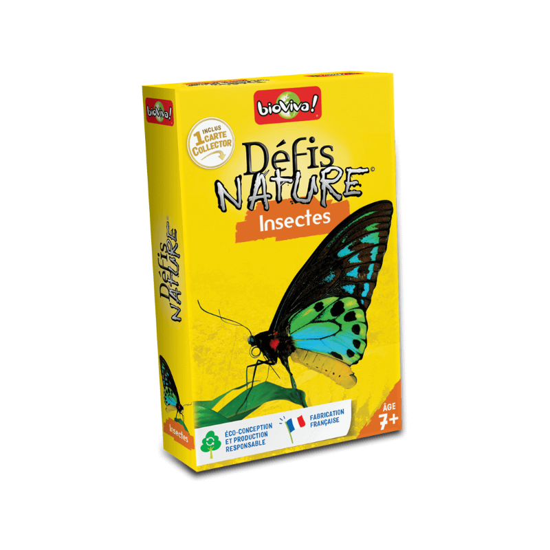 Défis Nature - Insectes 2024