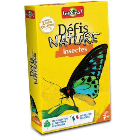 Défis Nature - Insectes 2024