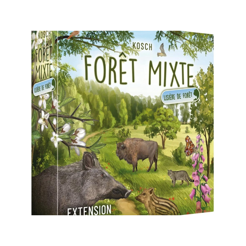 Forêt Mixte : Lisière de Forêt (Ext)