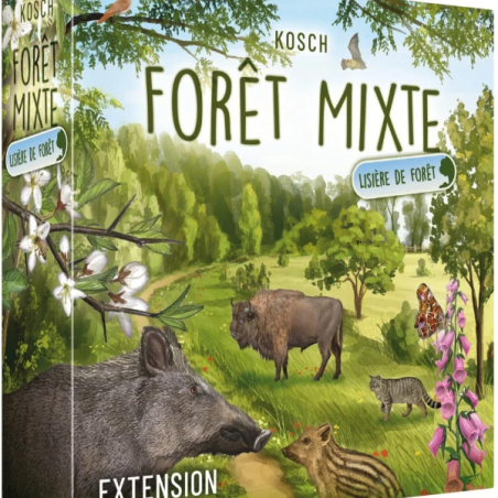 Forêt Mixte : Lisière de Forêt (Ext)