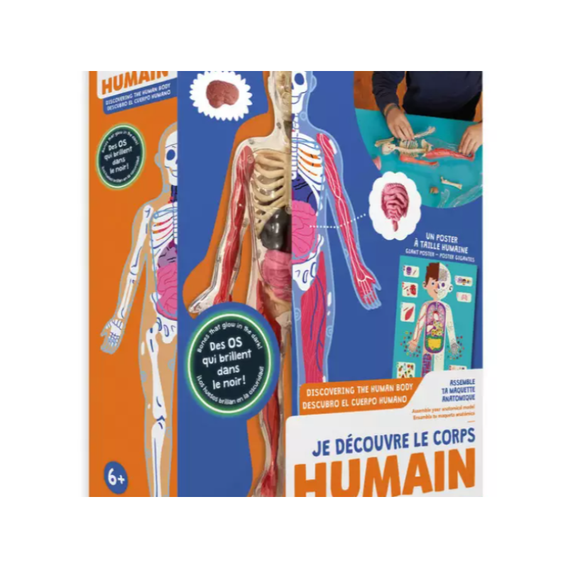 Je découvre le corps humain