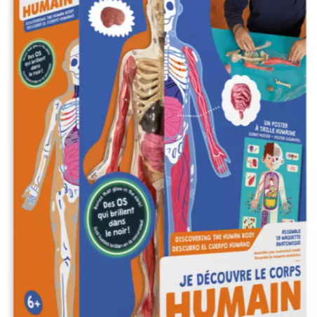 Je découvre le corps humain